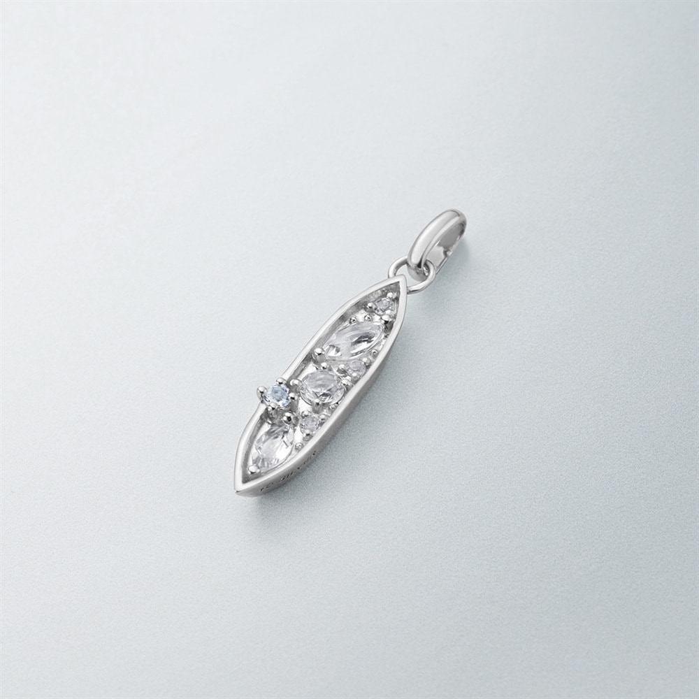 シルバー チャーム